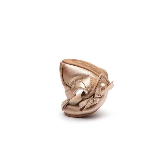gift-metalic-salmon-ncgif2-3792_3_